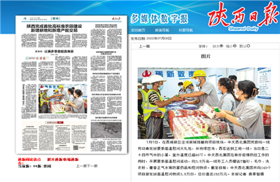 尊凯实业西北集团珑樾府项目高温慰问——《陕西日报》